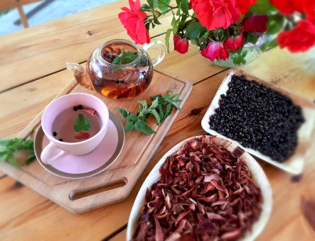 Chir's House (Dried fruit's House)