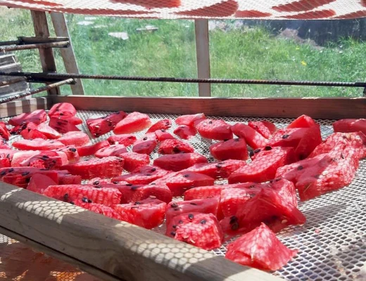 Tschirshaus (Trockenobst-Haus)