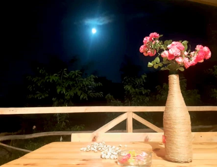 Chir's House (Dried fruit's House)