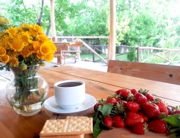 Chirs House (Casa di frutta secca)