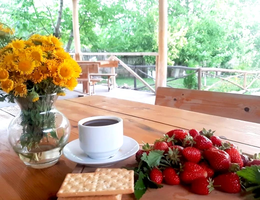 Tschirshaus (Trockenobst-Haus)