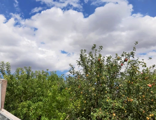 Tschirshaus (Trockenobst-Haus)