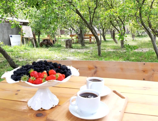 Tschirshaus (Trockenobst-Haus)