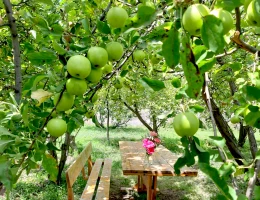 Chirs House (Casa di frutta secca)