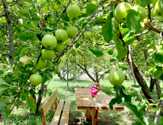 Tschirshaus (Trockenobst-Haus)