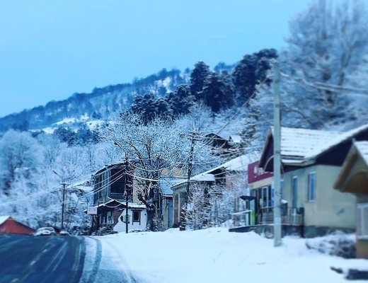 Taller y estudio Buduart