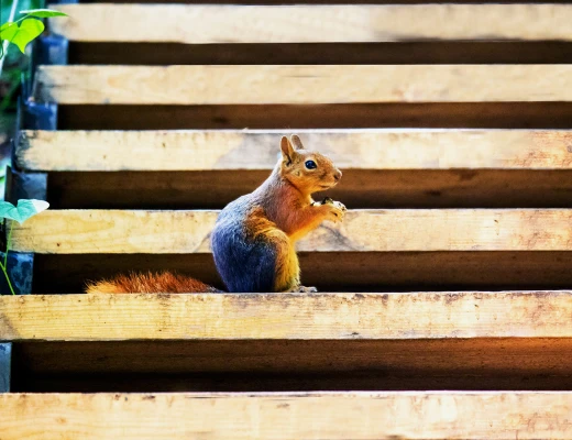 Елл Экстрим Парк