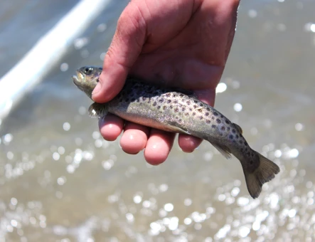 Fishing in Lake Sevan