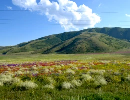 Montagna Artanish
