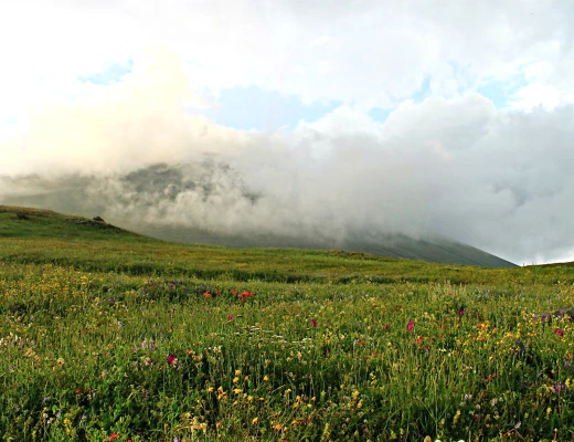 Արմաղան լեռ