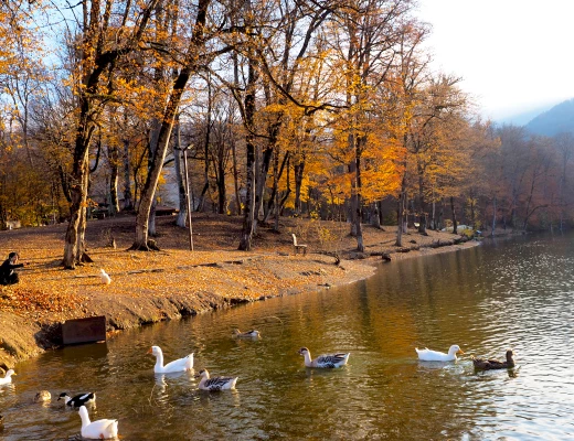 Lake Parz (Crystal)