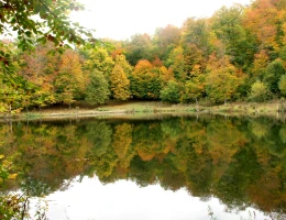 Lago Parz (Cristallo)