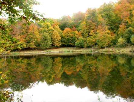 Lago Parz (Cristal)