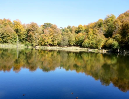 Lago Parz (Cristal)