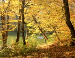 Lago Parz (Cristallo)