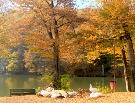 Lago Parz (Cristal)