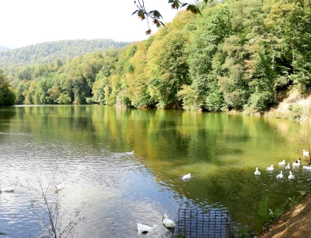 Lago Parz (Cristal)