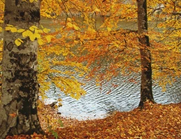 Lago Parz (Cristallo)