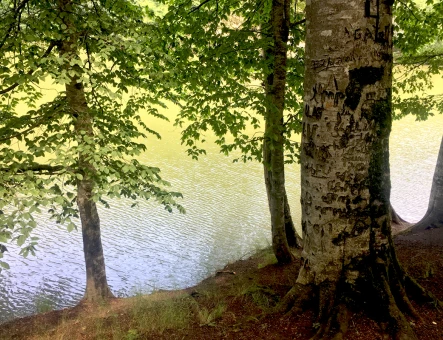 Lago Parz (Cristal)