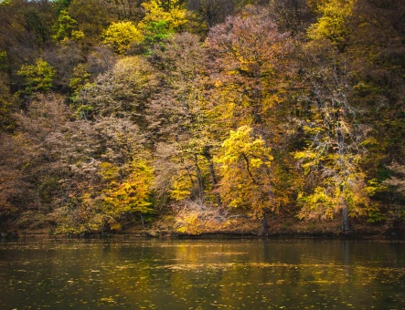 Lago Parz (Cristal)