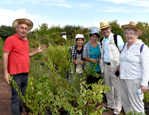 Посадка деревьев в питомнике Карин