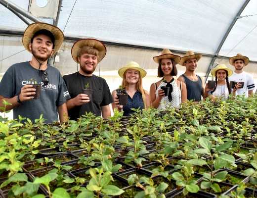 Посадка деревьев в питомнике Карин