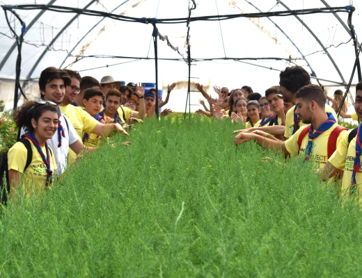 Посадка деревьев в питомнике Карин