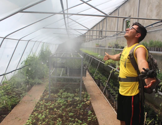 Посадка деревьев в питомнике Карин