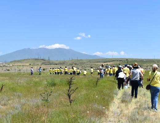 Посадка деревьев в питомнике Карин