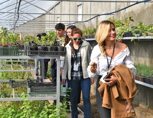 Посадка деревьев в питомнике Карин