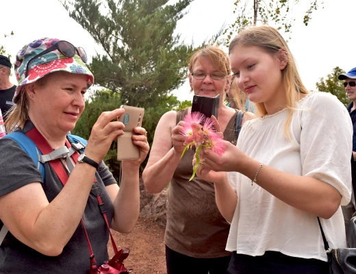 Посадка деревьев в питомнике Карин