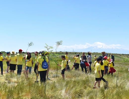 Посадка деревьев в питомнике Карин