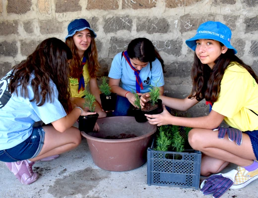 Посадка деревьев в питомнике Карин
