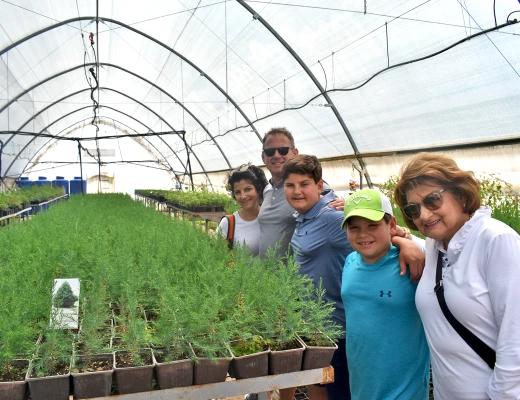 Посадка деревьев в питомнике Карин