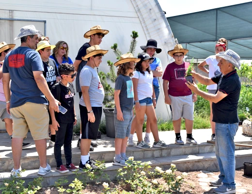 Посадка деревьев в питомнике Карин