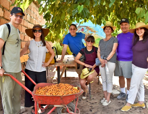 Посадка деревьев в питомнике Карин