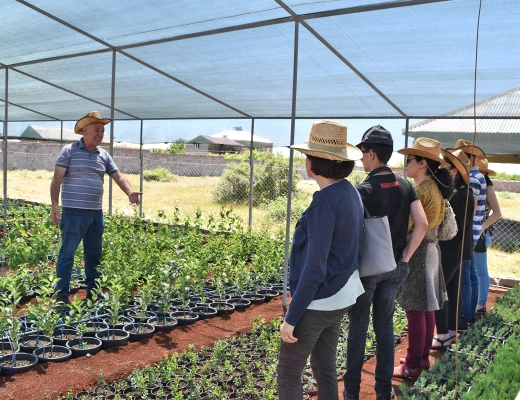 Посадка деревьев в питомнике Карин