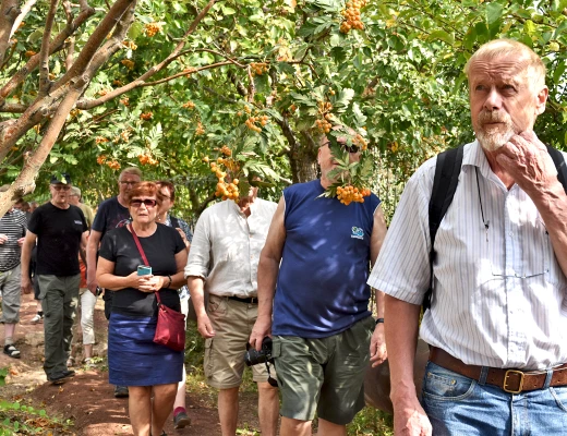 Посадка деревьев в питомнике Карин