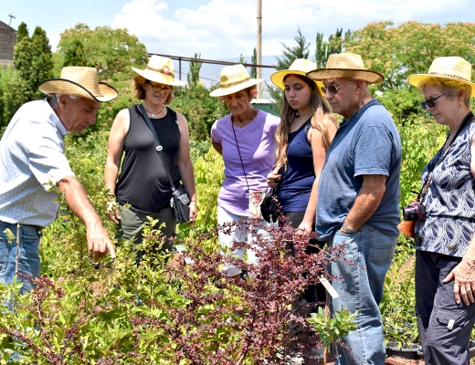 Посадка деревьев в питомнике Карин