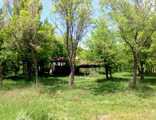 Centro recreativo y artístico de Port Ayas
