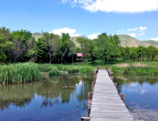 Centro recreativo y artístico de Port Ayas