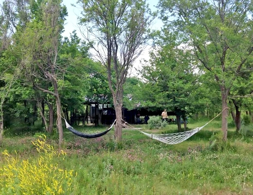 Centro recreativo y artístico de Port Ayas