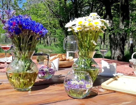 Centro recreativo y artístico de Port Ayas