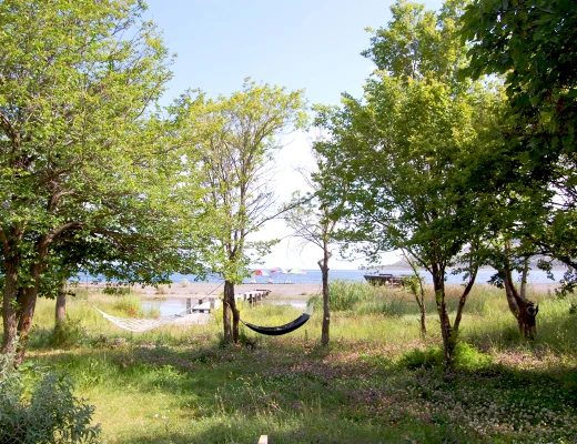 Centro recreativo y artístico de Port Ayas