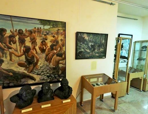 Staatliches Naturmuseum von Armenien