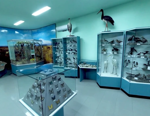 Staatliches Naturmuseum von Armenien