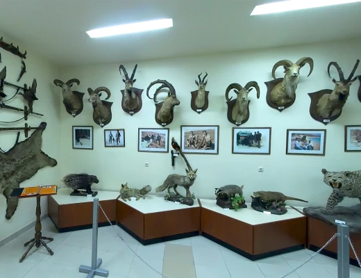 Staatliches Naturmuseum von Armenien