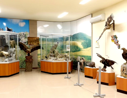 Staatliches Naturmuseum von Armenien