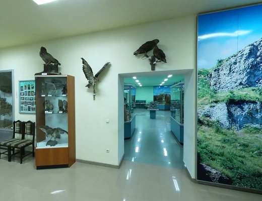 Staatliches Naturmuseum von Armenien
