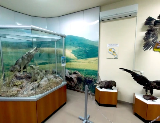 Staatliches Naturmuseum von Armenien